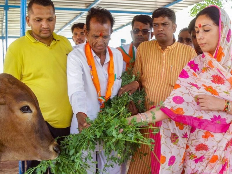 diya kumari 2023 10 21ecf7971df7f3dd02538c60d1710d35 16x9 1