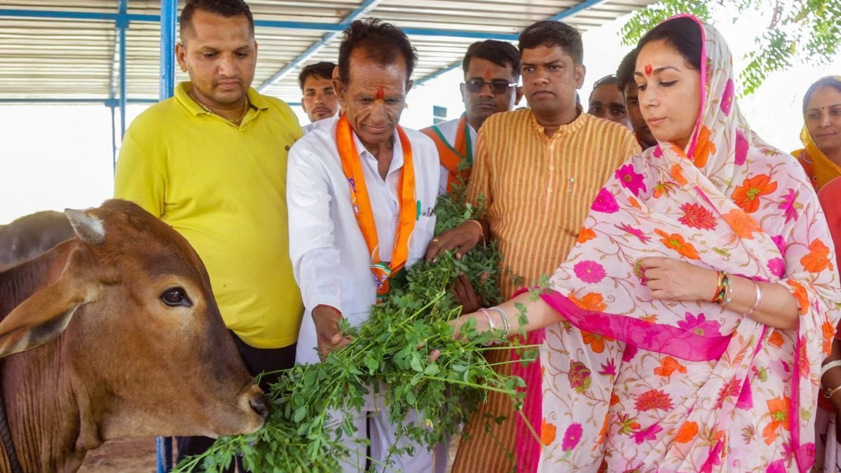diya kumari 2023 10 21ecf7971df7f3dd02538c60d1710d35 16x9 1