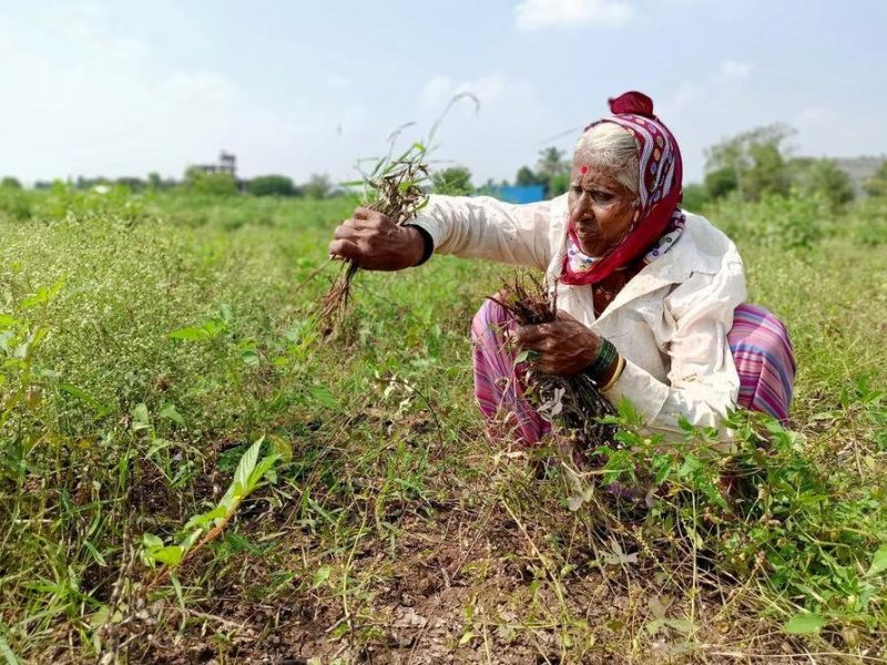 retail inflation for agricultural rural workers marginally up in october