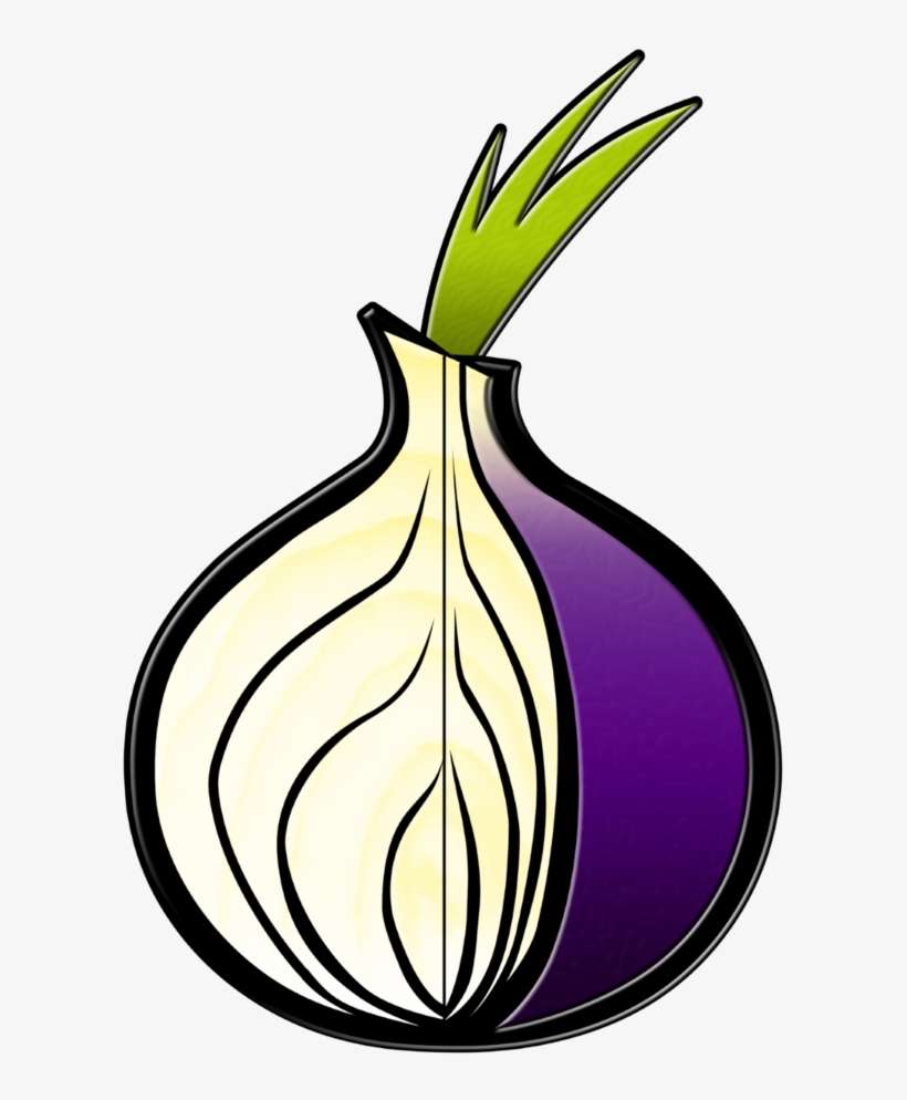 774 7744360 tor onions anonymous tue nov 15 tor browser1