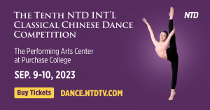 18414189 the 10th ntd international clas 300x157 1