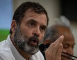 congress leader rahul gandhi is mp again after conviction stayed by sc