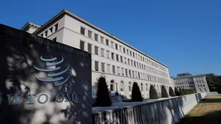 food stock holding e commerce tax on wto meet agenda