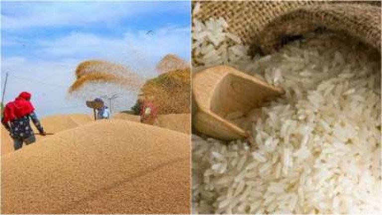 govt hikes allocation of wheat under open market sale scheme