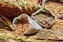 review open ended grain procurement cacp