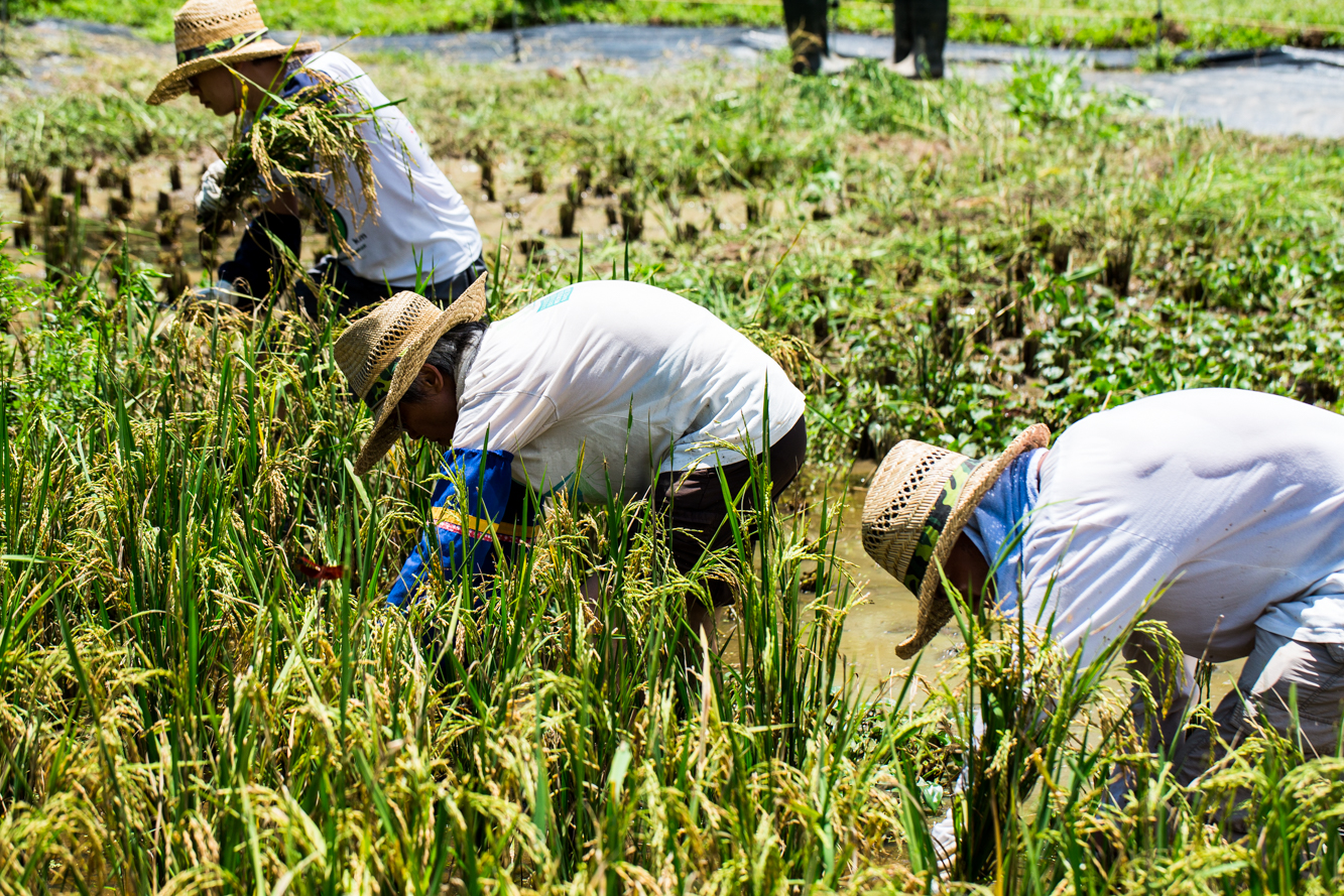 The Sustainable Restaurant Assoc