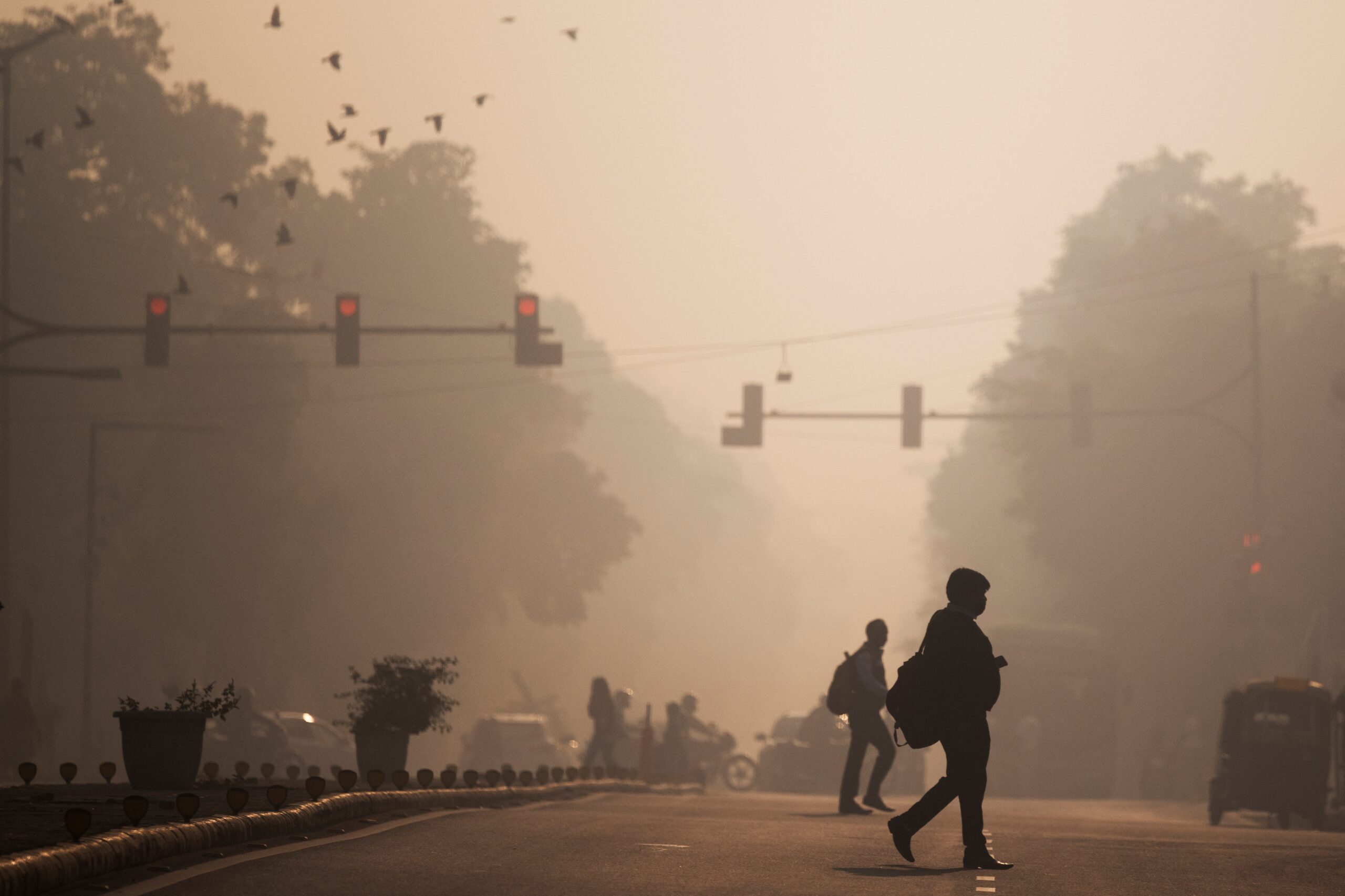 o0jmd298 delhi air pollution 625x300 05 November 23 scaled 1