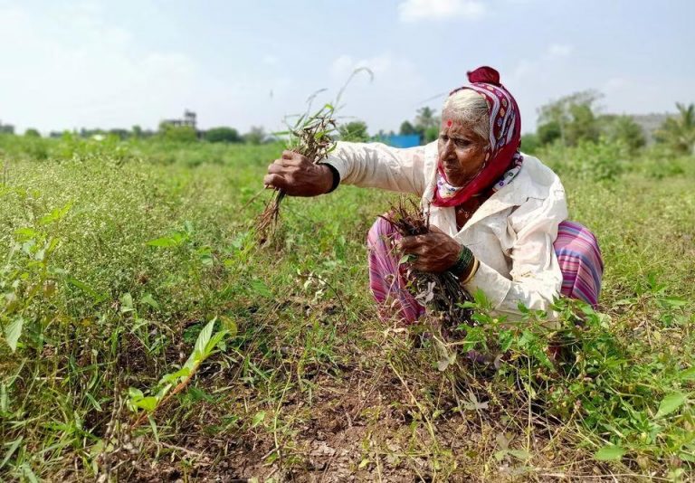 retail inflation for agricultural rural workers marginally up in october