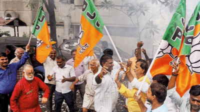 bjp leaders in madhya pradesh attribute the massive victory to modi magic