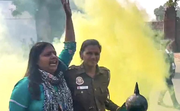 gtnabtrk neelam lok sabha protester 625x300 14 December 23