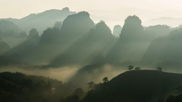 image 1 4