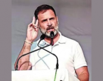 mp polls caste census an x ray to ensure participation of obcs dalits tribals in govt says rahul gandhi