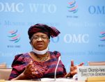 WTO 12th ministerial conference 1