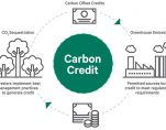 carbon credits infographic