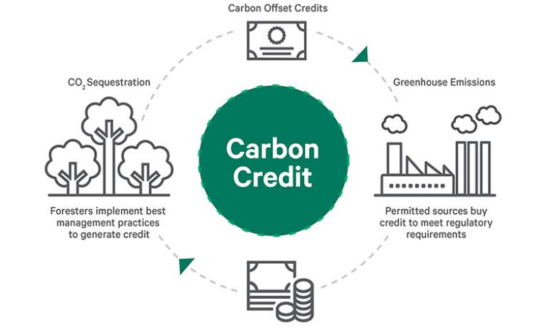carbon credits infographic