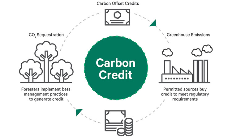 carbon credits infographic