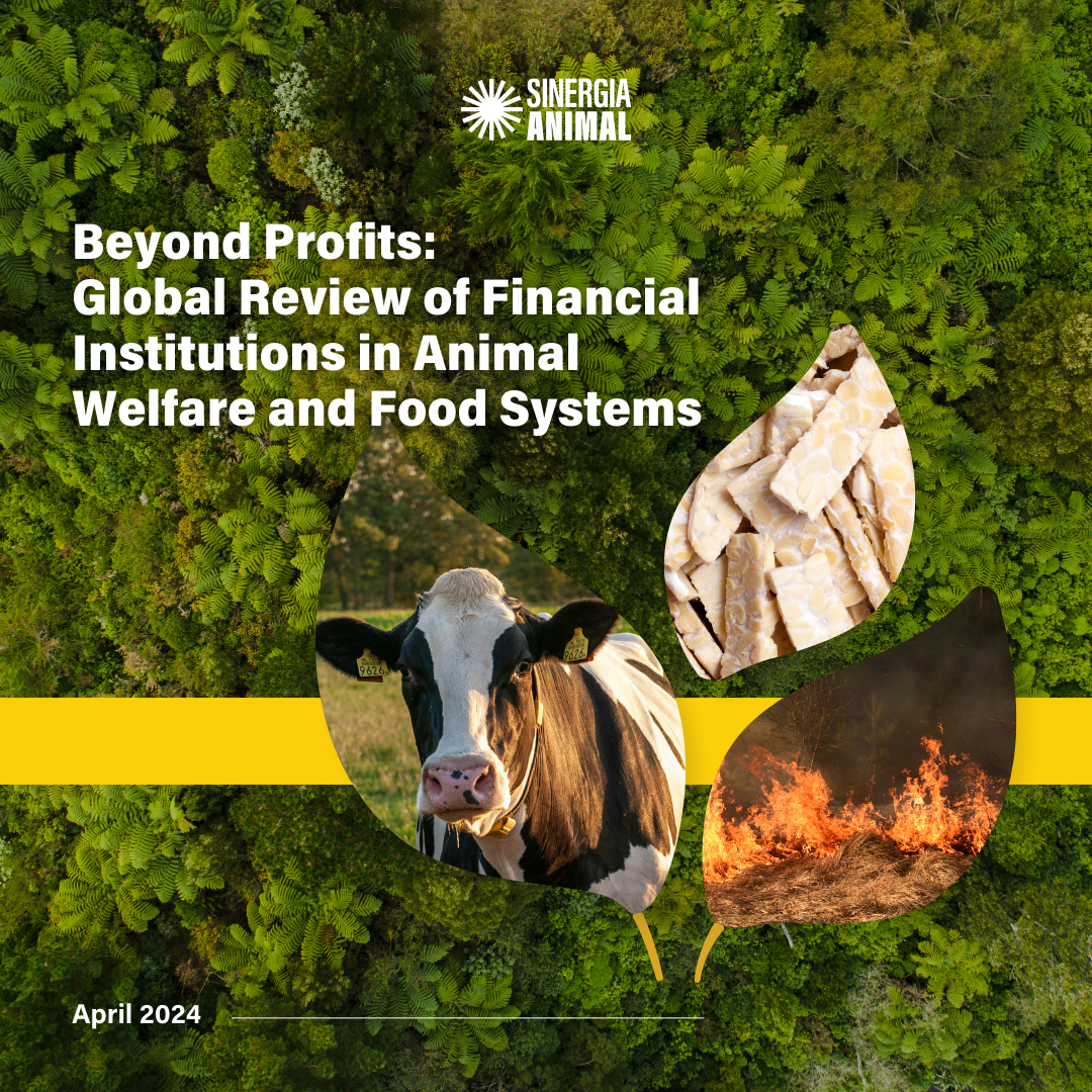 Banks report Cover image and inp