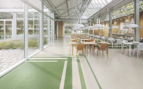 sustainable flooring solutions blog feature