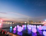 teamLab
