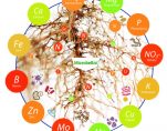 MICROBEBIO sustainable farming practices 6 1536x1536 1