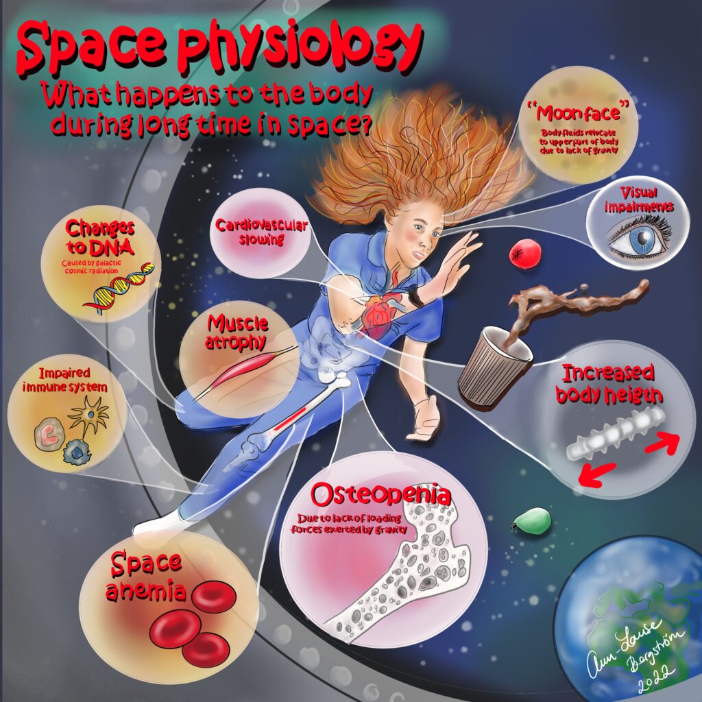 Space SAMLET 1024x1024 1