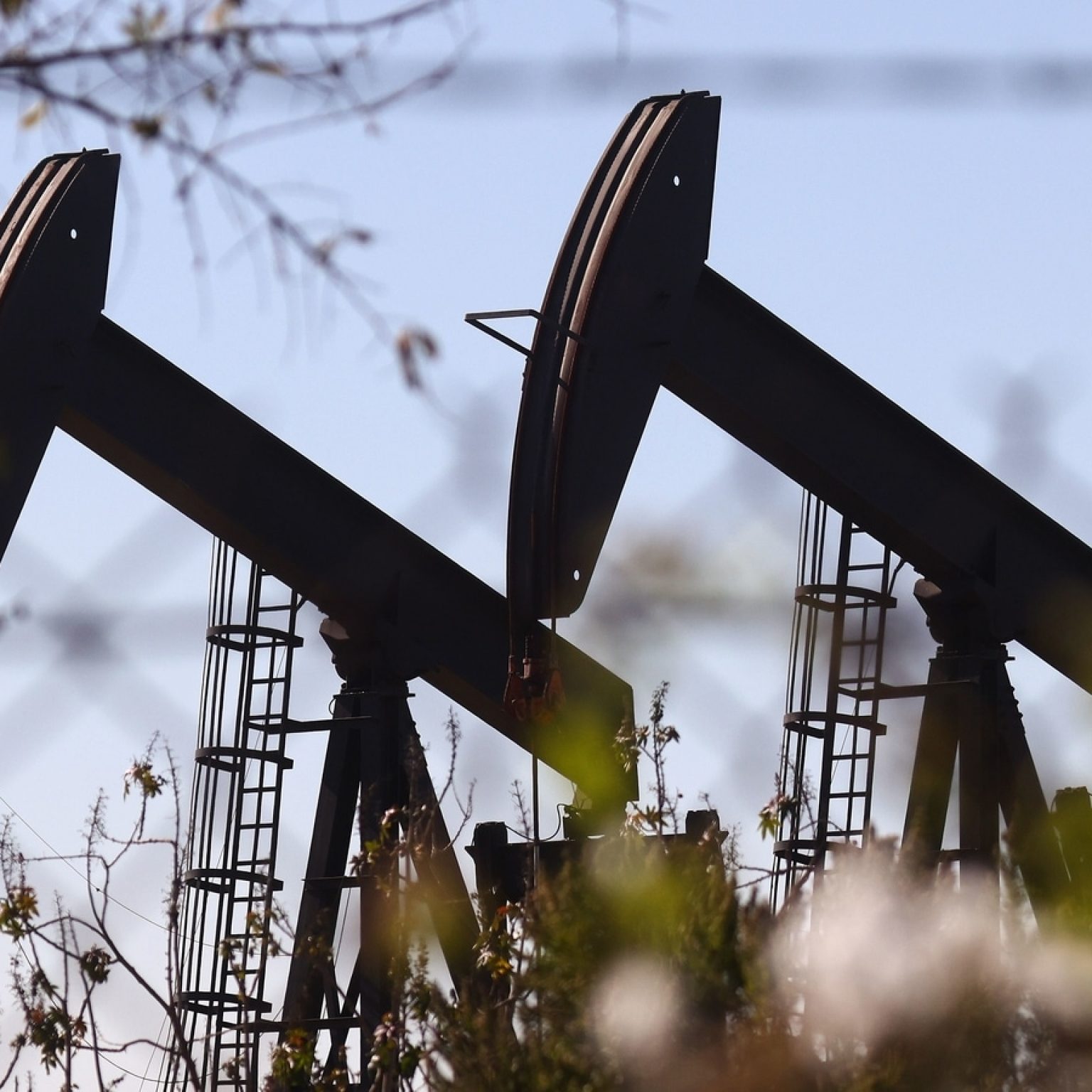 UAE, Saudi Arabia, and Allies Announce Extended Oil Output Cuts ...