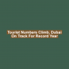 Tourist Numbers Climb, Dubai on Track for Record Year