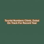 Tourist Numbers Climb, Dubai on Track for Record Year