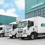 Watsons