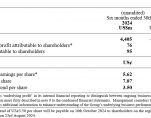 DFI Half year 2024 Results 1