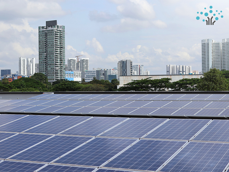 PMCE solar panels