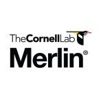 merlin app