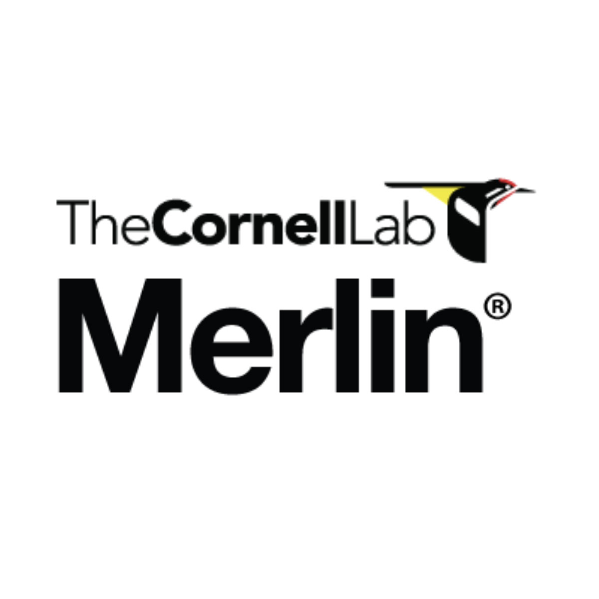 merlin app