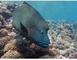 ADM 27May