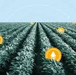farming chain
