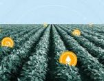farming chain