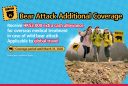 Bear Attack HeroBanners v1 1563x