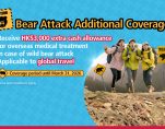Bear Attack HeroBanners v1 1563x