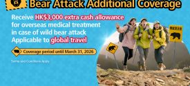 Bear Attack HeroBanners v1 1563x