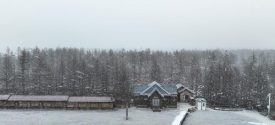 image 1 1