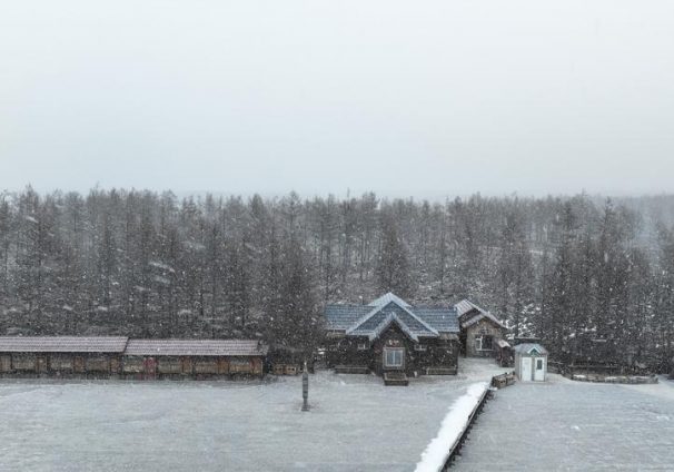image 1 1