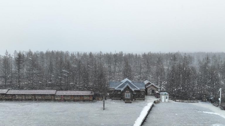 image 1 1