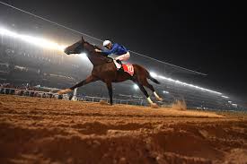 arabian post horse