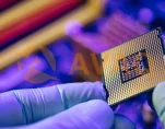chips
