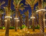 Tall palms trees highlighted at night, Diriyah, Riyadh, Saudi Arabia