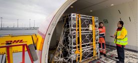 DHL heavyweight express p